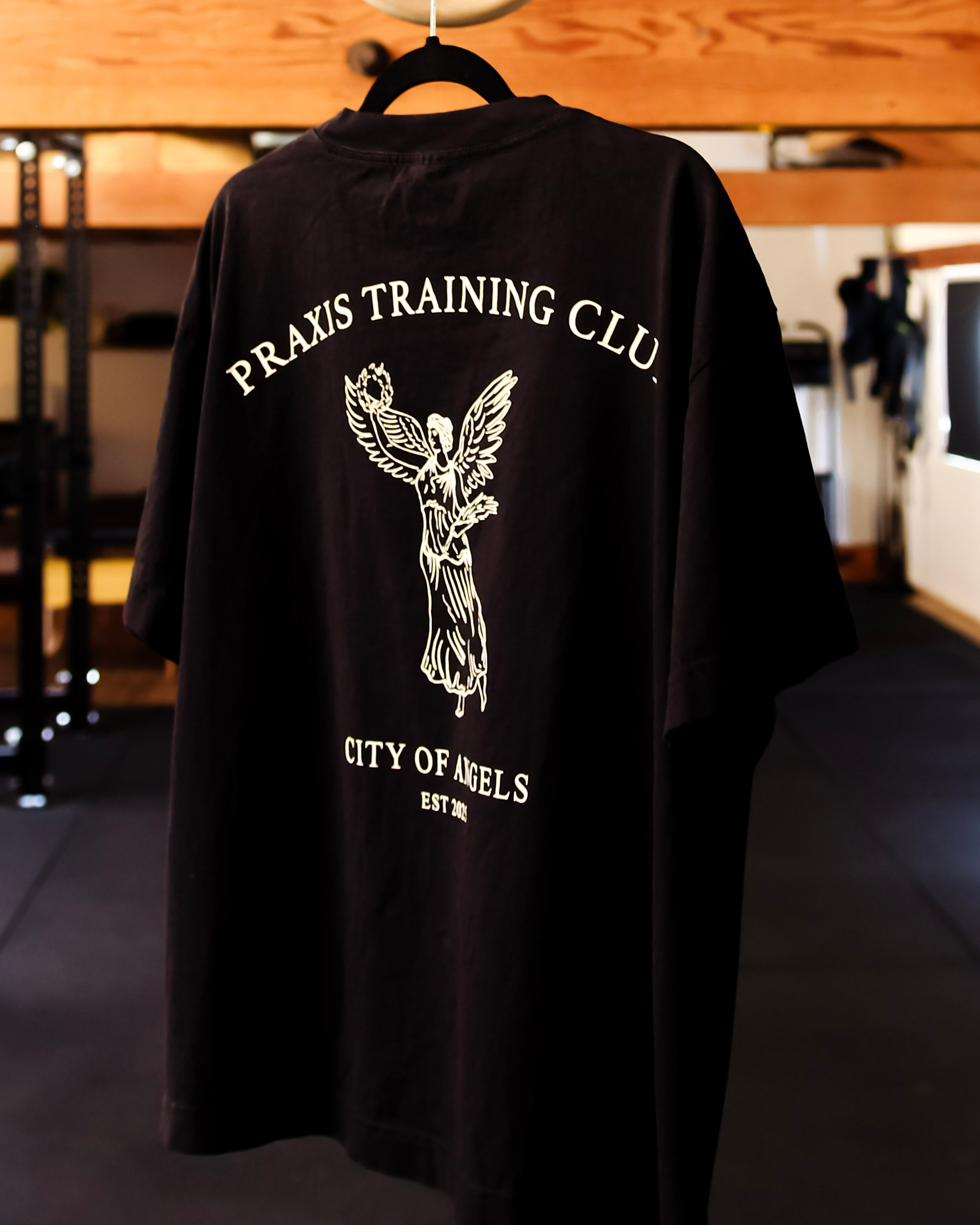 City of Angels tee, Winged Victory back print